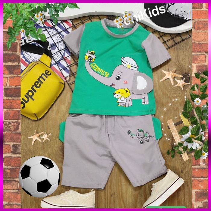 Đồ Bộ Bé Trai Size 10kg-40kg Thun Cotton Co Giãn 4 Chiều Mềm Mịn Siêu Mát Hình Voi Con Chụp Ảnh.1571.2