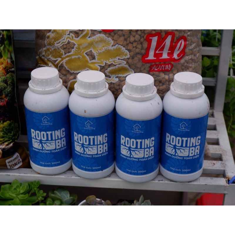 Dung Dịch Phân Bón Lá Kích Rễ Cho Cây Cảnh Sen Đá