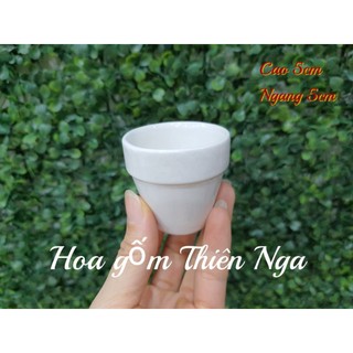 Chậu bí gốm sứ mini cao 4,5 cm