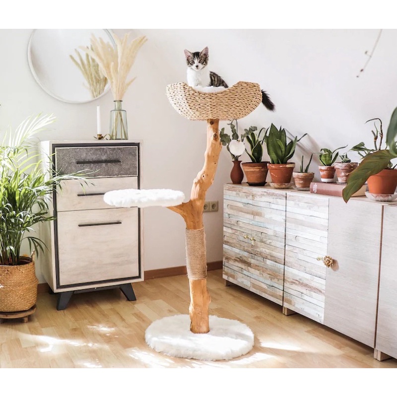 ☘️ Cattree nhà cây cho mèo giá rẻ natural 🍀