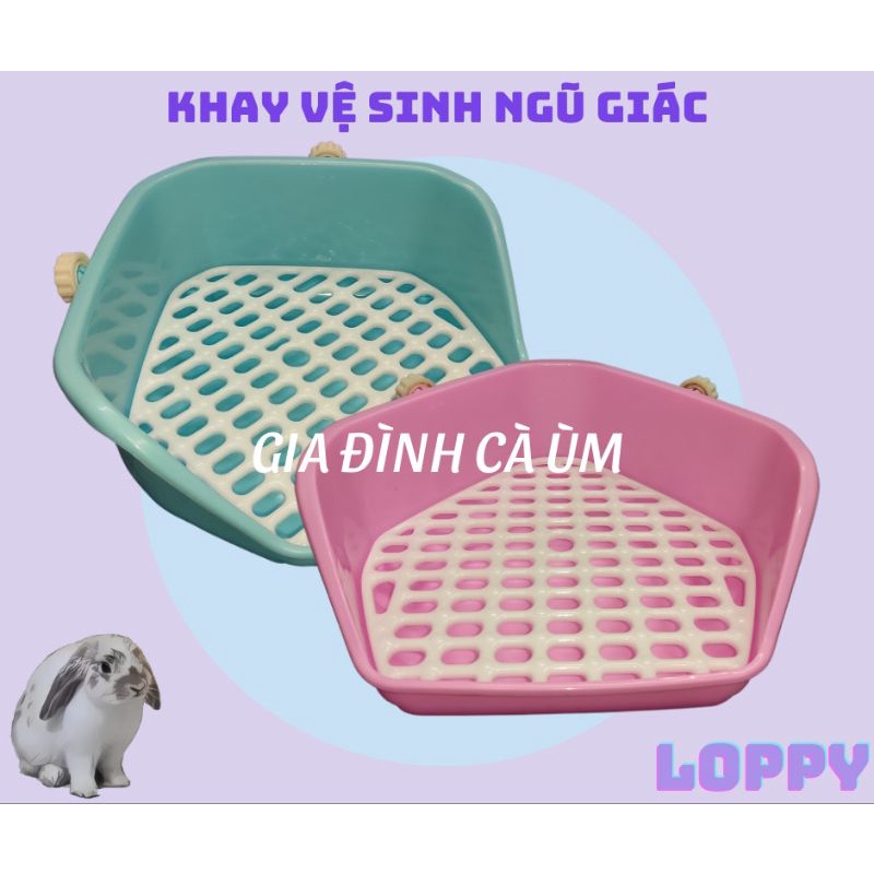 Khay vệ sinh ngũ giác dành cho thỏ/chuột lang (bọ ú)