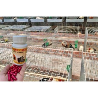 B12_9500 Gom bo tuần cuối