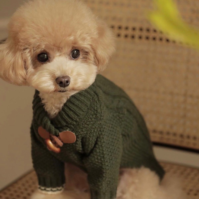 Áo Sweater Dệt Kim Đính Bóng Lông Thời Trang Thu Đông Cho Thú Cưng