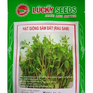 Hạt giống rau sam, dễ gieo trồng quanh năm (gói 5gr) LUCKY SEEDS