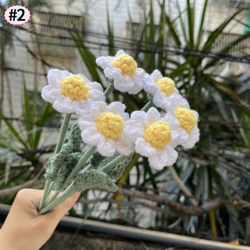 Bó hoa cúc daisy dệt kim 20 bông ngọt ngào handmade móc tay chất lệu len milk cotton làm quà tặng, decor trang trí nhà