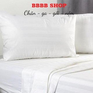 Bộ Drap khách sạn RIOTEX trắng sọc 1m/m2/m4/m6/m8 mềm mại- S1