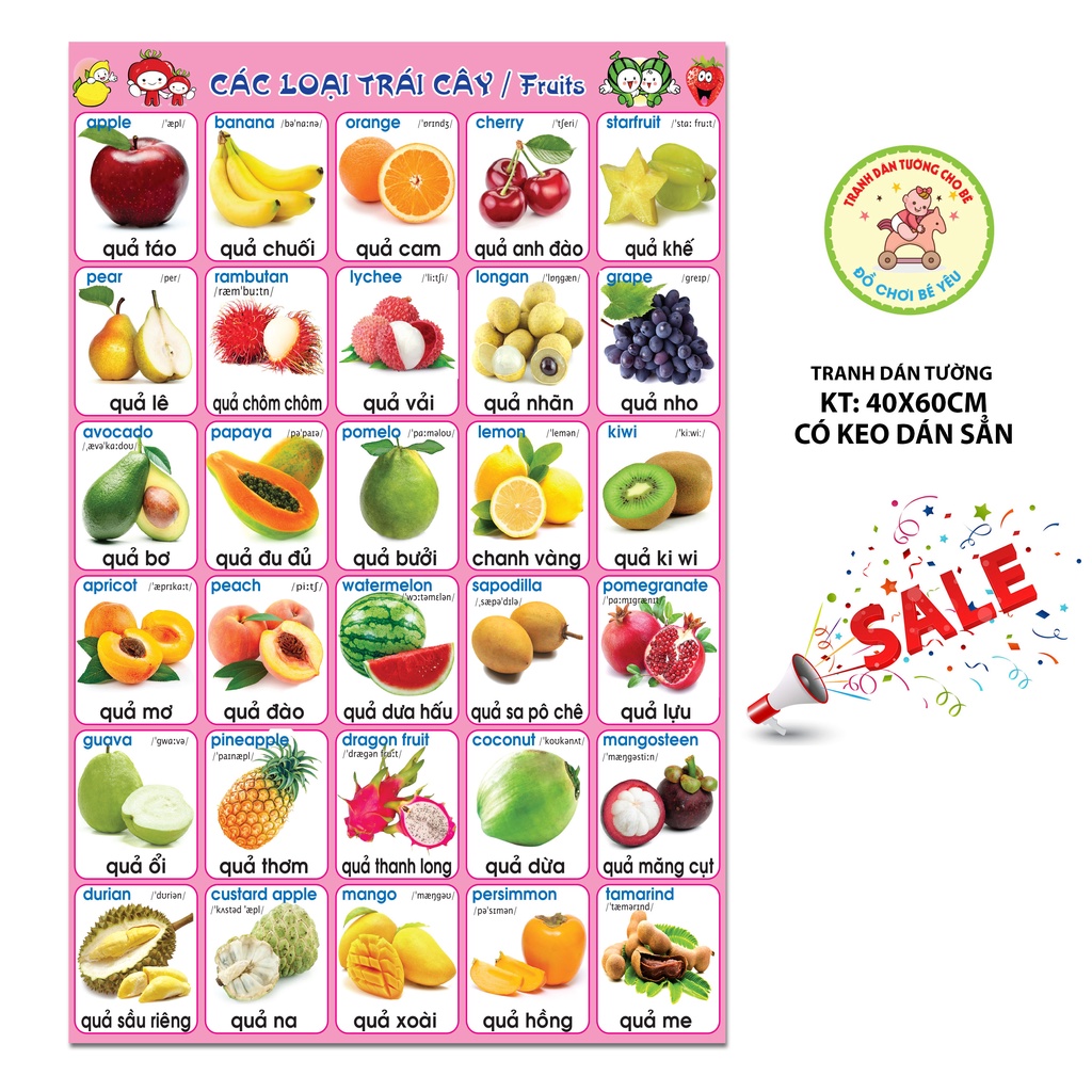 Bảng chữ cái dán tường