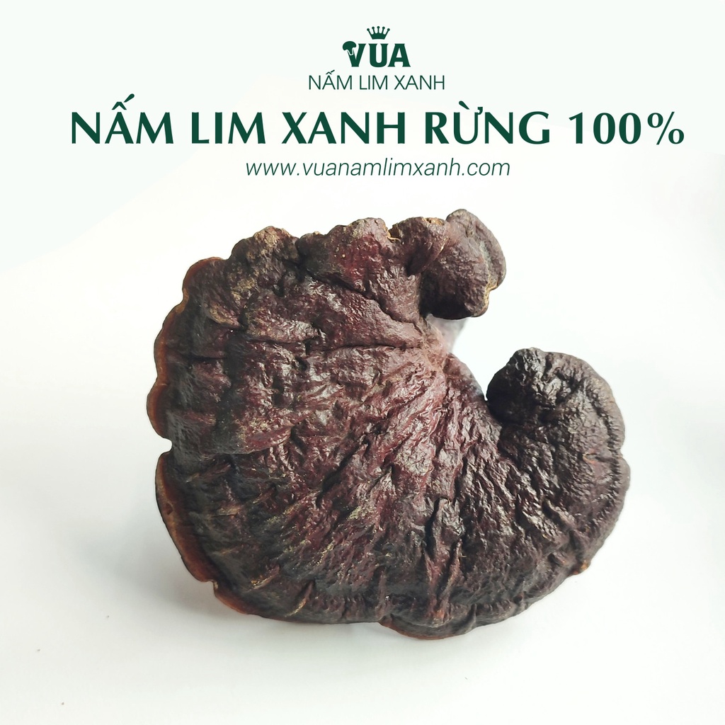 Nấm Lim Xanh Rừng 100% Từ Tự Nhiên Loại 1KG