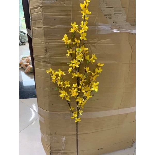 Cành mai mỹ vàng  Trang trí siêu đẹp