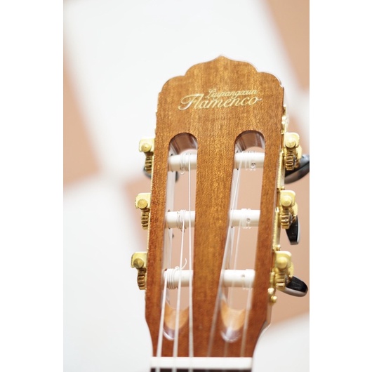 Guitar Nilon Flamenco JX-10G tích hợp Bluetooth và Effecr