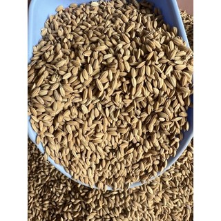 1kg lúa tiêu ruột đỏ