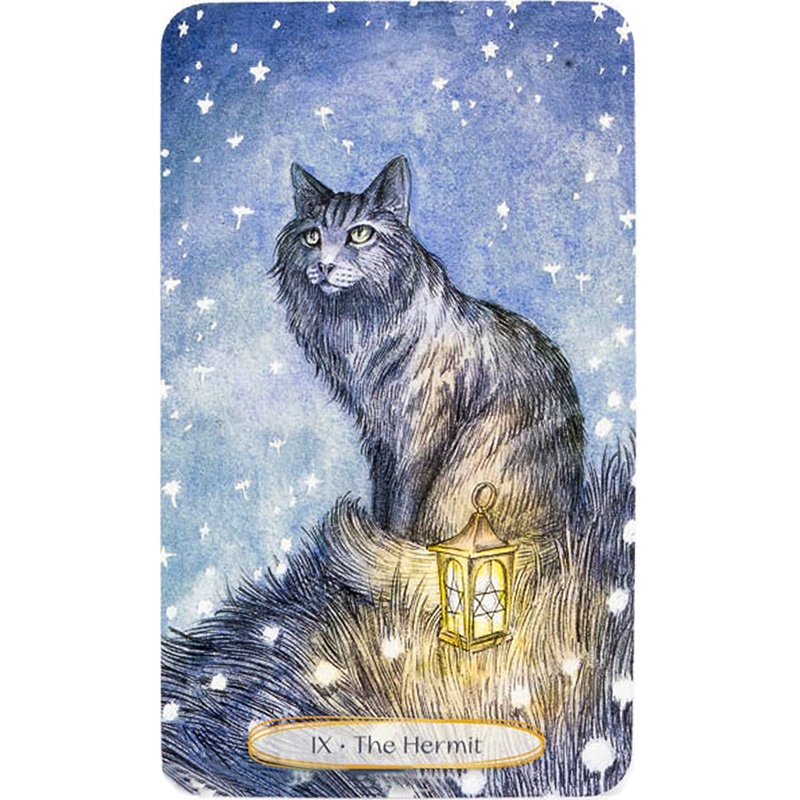 Bộ Bài Soul Cats Tarot  - Bài Gốc Authentic Chính Hãng 100%