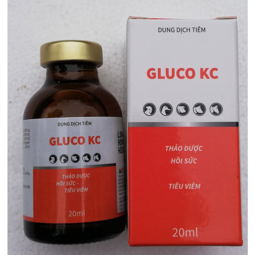 1 lọ Gluco KC 20ml Dùng tốt cho trâu, bò, heo, dê, cừu, ngựa, chó, mèo