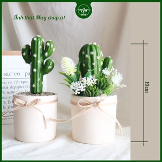 Cây giả, Chậu cây giả xương rồng, sen đá xinh xắn chậu đất 8