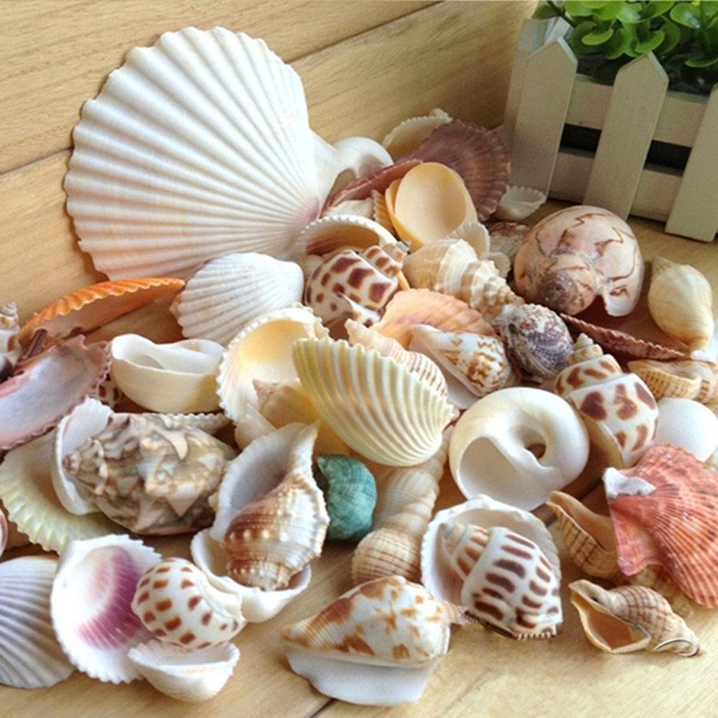 Gói 200g Vỏ Ốc Tự Nhiên Trang Trí Bể Cá