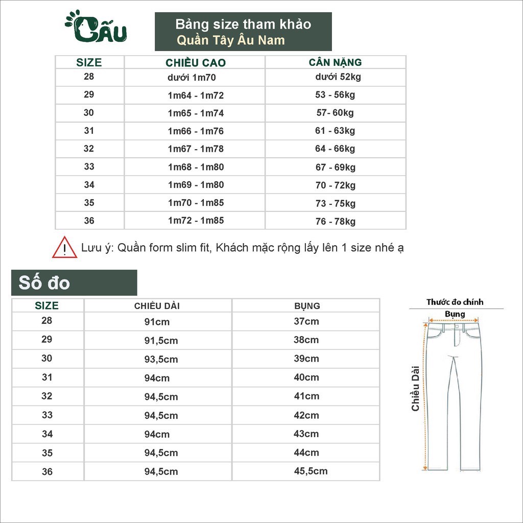 Quần tây âu nam Gấu 194 sọc caro vải coton co dãn, mềm mịn - form regular sang chảnh - Sọc Caro