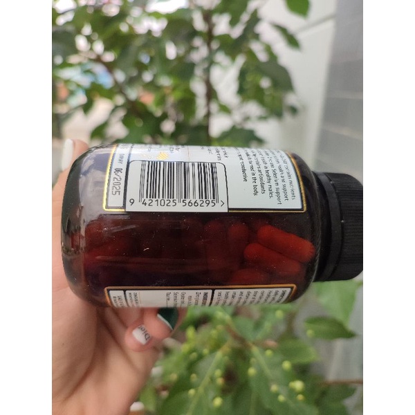 Tinh chất hàu Oyster plus ZinC hỗ trợ tăng sinh lý nam  cải thiện sinh lý 120 viên dành cho người từ 18 tuổi