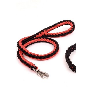Dây dắt bện thừng size cho chó lớn