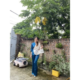 Sét lụa công sở sang chảnh