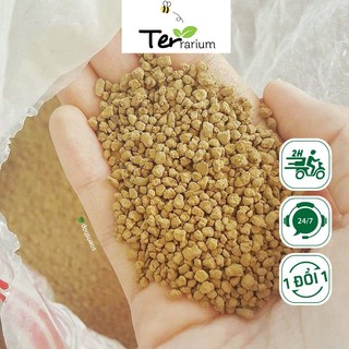Đá masato - cực phẩm dành cho sen đá, xương rồng, cây mọng nước, hoa hồng/ ter