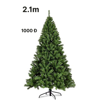 Cây Thông Xanh Noel/ Giáng Sinh 210CM - Tặng 10 dây kim tuyến NL059