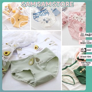 Combo 5 Quần Lót Nữ Cotton kute Chống Viêm Kháng Khuẩn, Sét 5 quần