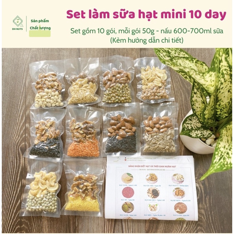 SET MIX HẠT LÀM SỮA MINI 10 NGÀY / KÈM HƯỚNG DẪN CHI TIẾT (Gồm 10 túi, mỗi túi 50g - nấu 600-700ml sữa)