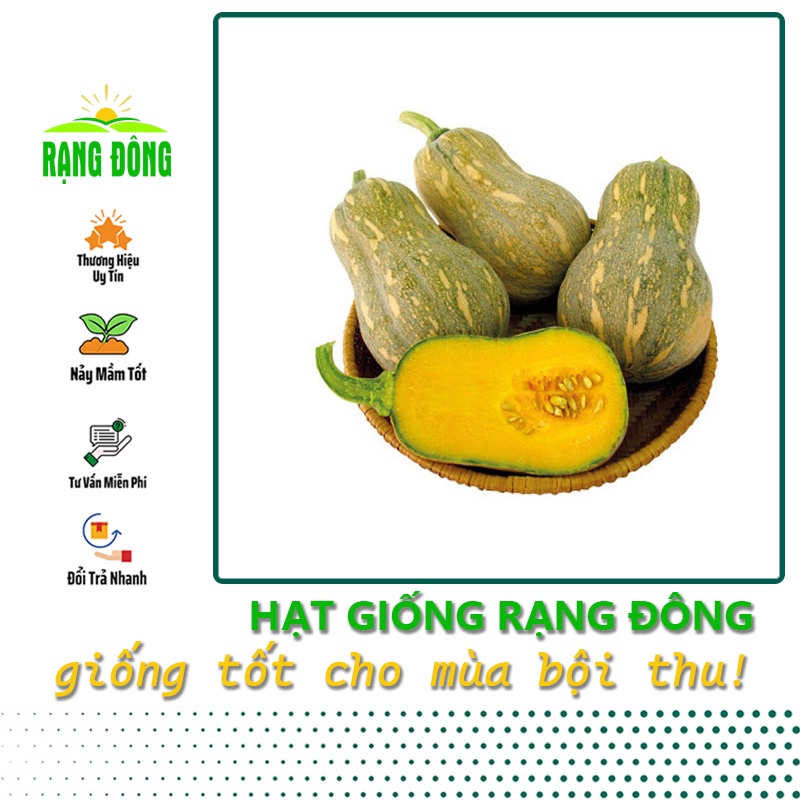 Hạt giống Bí Đỏ Hạt Đậu (Bí Đỏ Hồ Lô) trái sai, thịt nhiều, trồng quanh năm - Hạt giống Rạng Đông