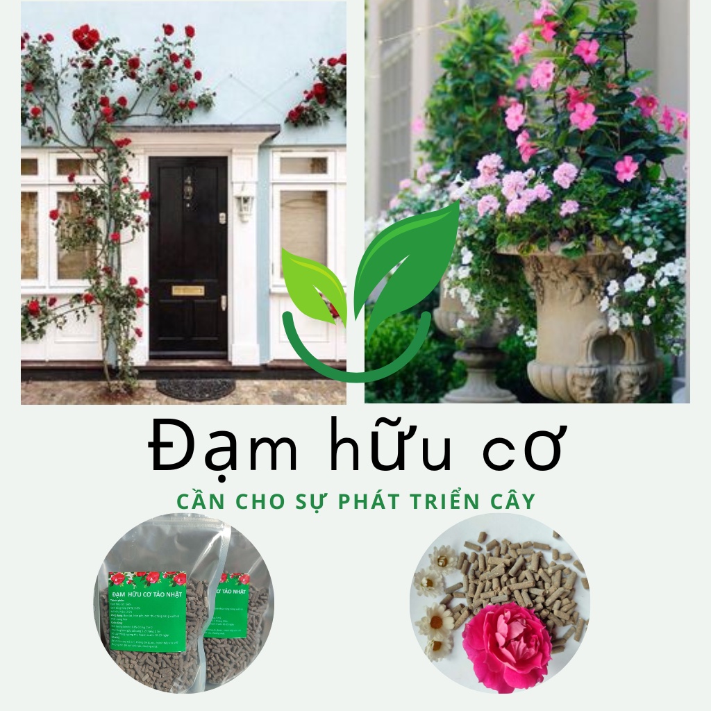 Phân bón hoa hồng, phân đạm cá hữu cơ, đạm hữu cơ bón cây cảnh hoa giấy, dâu tây, sen đá