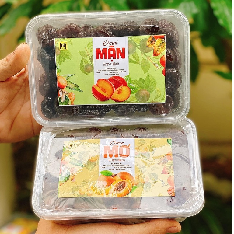 Ô mai mơ mận dẻo có hạt xuất Nhật🍟FREESHIP🍟hộp 500g LHYFOOD ăn vặt Hà Nội