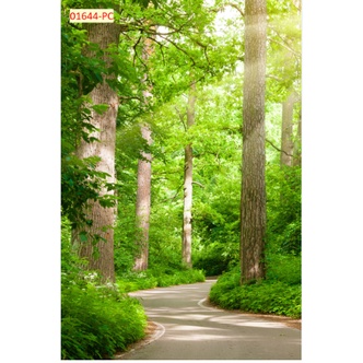 Tranh 3D Dán Tường Hàng Cây Khổ Lớn không giới hạn kích thước