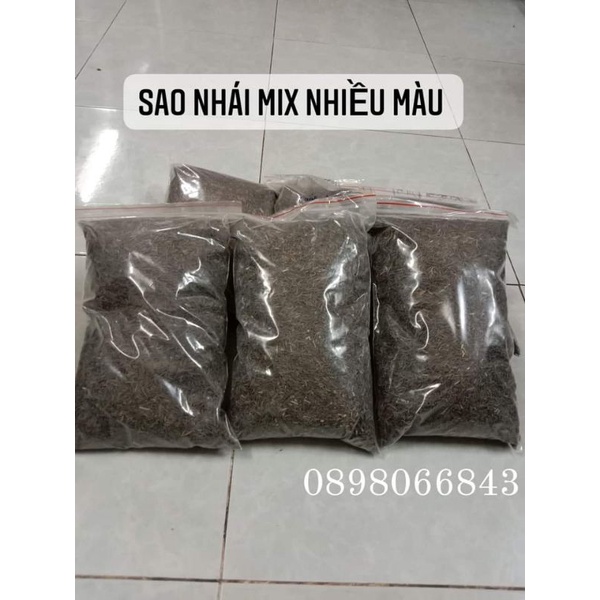 1 Kg Hạt Giống hoa sao nhái (cánh bướm nhiều màu). Trồng du lịch
