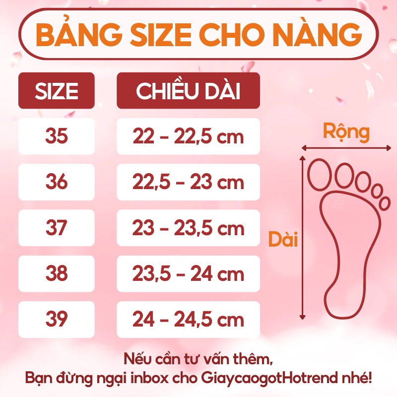 Giày cao gót quai nhún bèo Hottrend 2023 MIDUKA, sandal nữ đế vuông 3 phân chuẩn size 35-39 3 màu trắng, đen,kem mã NT05