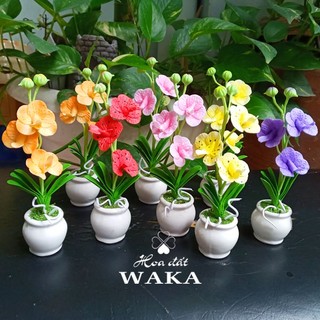 Hoa Đất Sét Mini- Lan Vanda 12cm