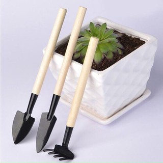 Bộ dụng cụ làm vườn chăm cây cảnh , xẻng,cào, mini giá rẻ