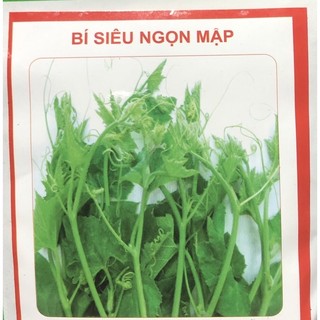 Hạt giống bí siêu ngọn / Ngọn to - Siêu mập 🍀