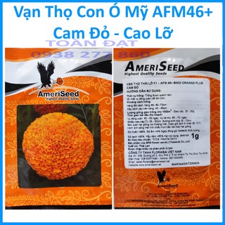 Hạt giống vạn thọ con ó mỹ cam đỏ afm , xuất xứ thái lan