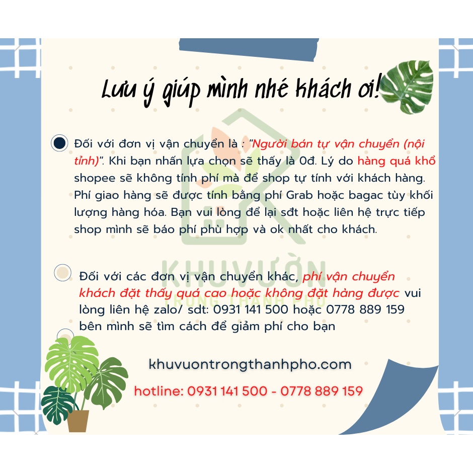 Chậu xi măng đá mài 100x40x40cm  - xem hình 2