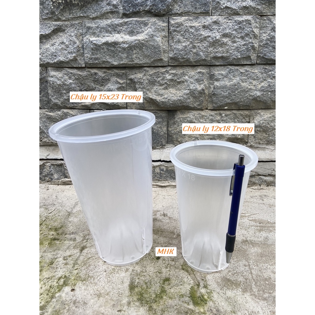 Chậu ly MHK , chậu trụ cao, 15x23 TRONG (nhựa cứng, đáy thoáng nước) Tall plastic pots.