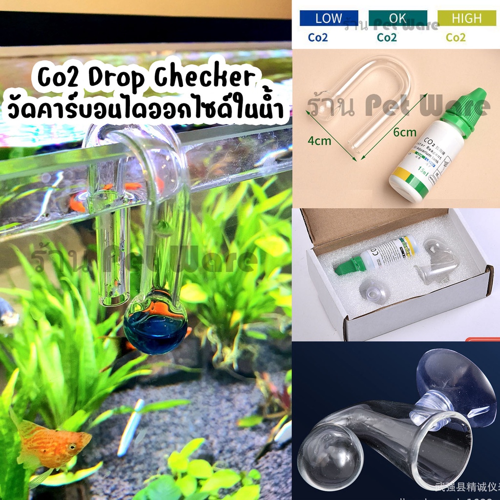 Co2 Checker Gỗ Bể Cá Kiểm Tra Co2 Đo Carbon Dioxide Trong Nước