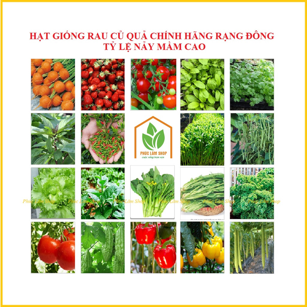 Hạt giống rau củ quả chính hãng Rạng Đông, hạt mầm chất lượng cao trồng quanh năm - hạt giống Phúc Lâm Shop