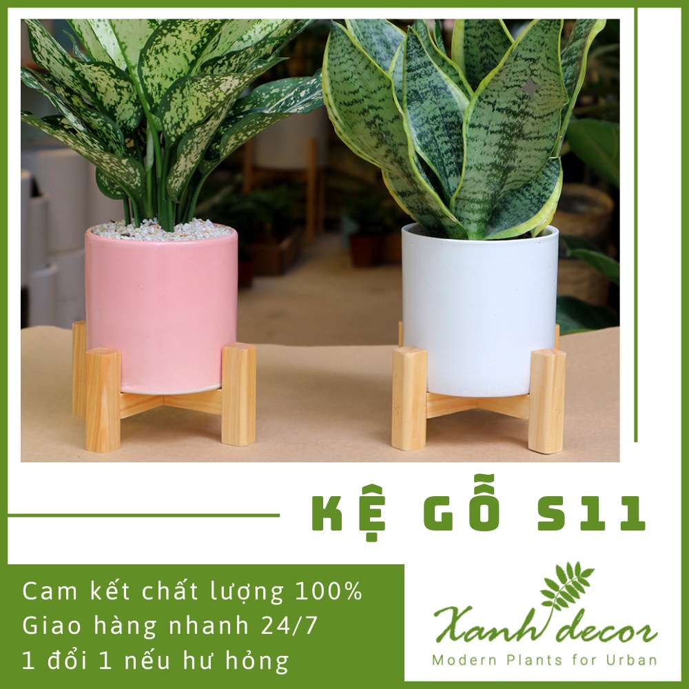 Kệ gỗ mini để cây cảnh để bàn S11