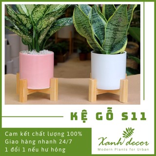 Kệ gỗ - giá gỗ mini để cây cảnh để bàn S11 trang trí