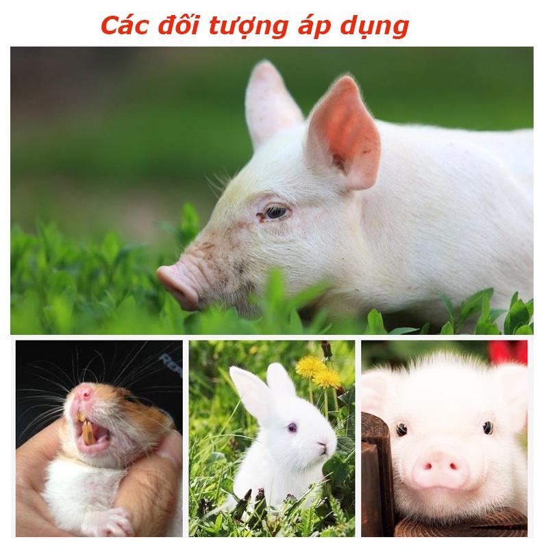 Rẻ🎉Kìm cắt nanh cho cắt răng lợn, kìm cắt móng bấm răng heo thép chất lượng thực dụng