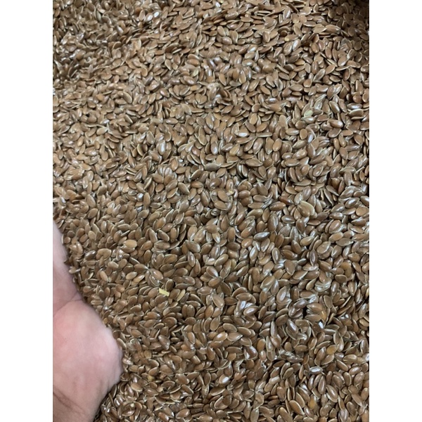 100G HẠT LANH NÂU (ẤN ĐỘ) CHO CHIM VẸT, FINCH, YẾN HÓT, CU GÁY