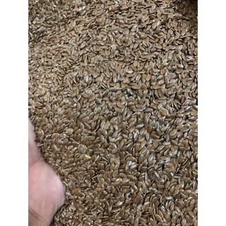 100g hạt lanh nâu cho chim vẹt, finch, yến hót, cu gáy