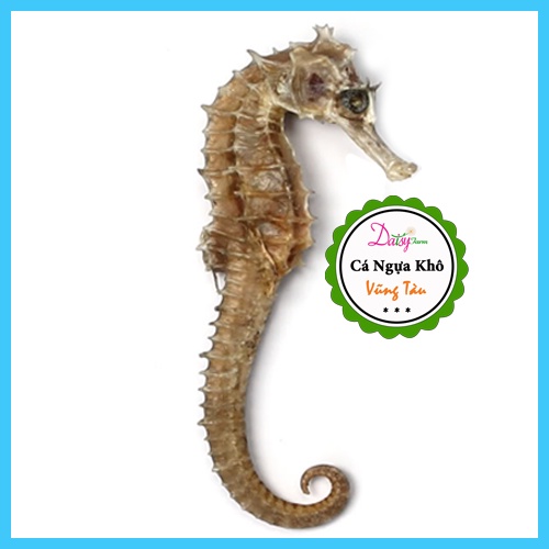 Cá Ngựa Khô Vũng Tàu  do Tàu Cá nhà Mình đánh bắt ở Vùng Biển Côn Đảo
