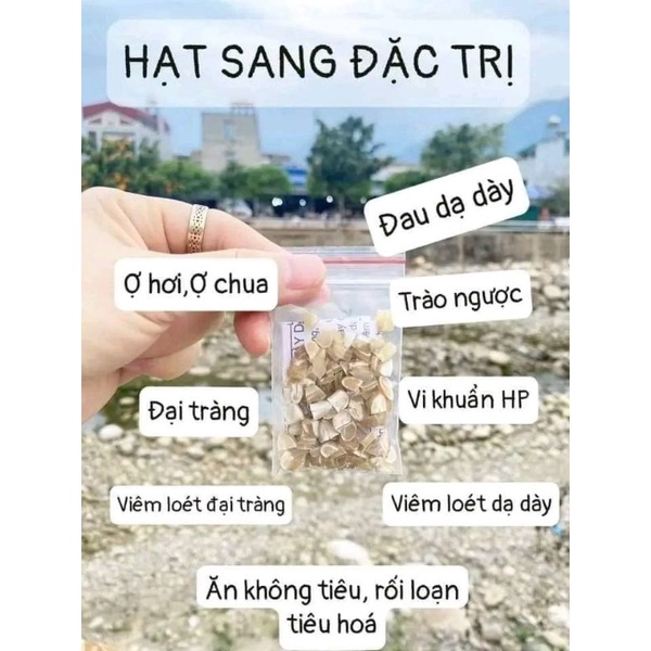 Hạt sang chuyên chữa dạ dày,đại tràng 10 hạt