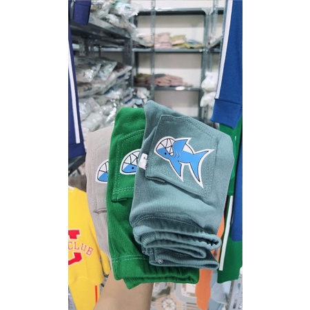 Quần túi hộp cá bé trai bé gái , dáng quần legging co giãn , 5 màu hàn quốc siêu sang , in hình cá mập cute