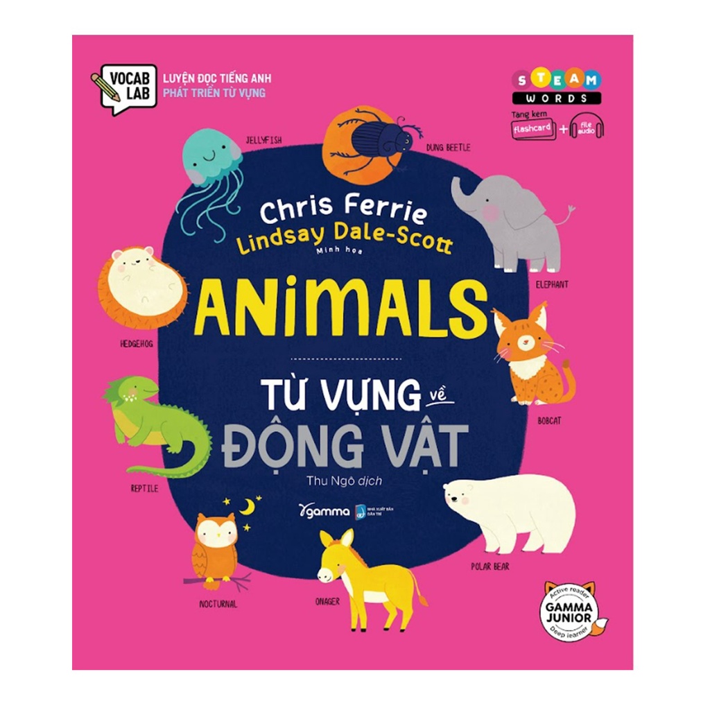 Sách - Bộ sách STEAM Words (5 cuốn)